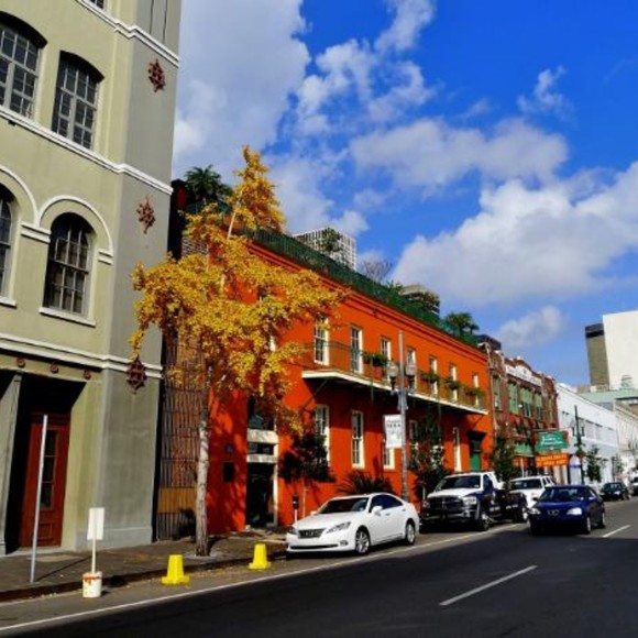 Meet your Posher, Sheranda - Picture 1 of 1